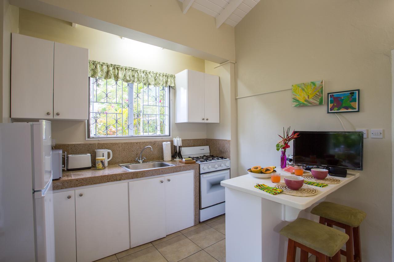 Smithy'S Eco-Apartment Morne Jaloux Ridge Exteriér fotografie
